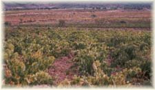 Viedo del Valle de Laujar